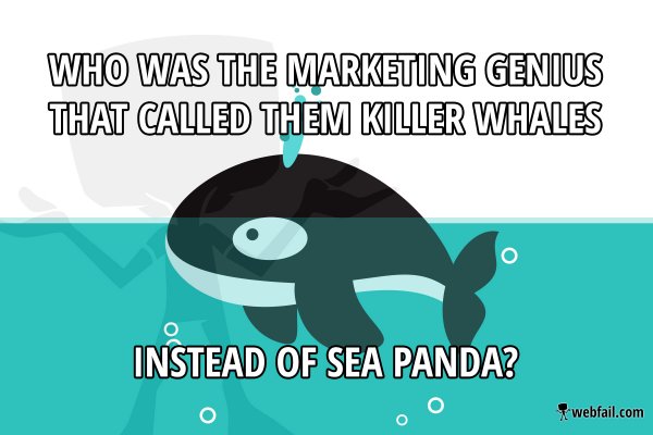 Killer whales was mistranslated from whale-killers