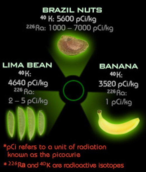 100g of brazil nuts have twice the radiation of a dental xray