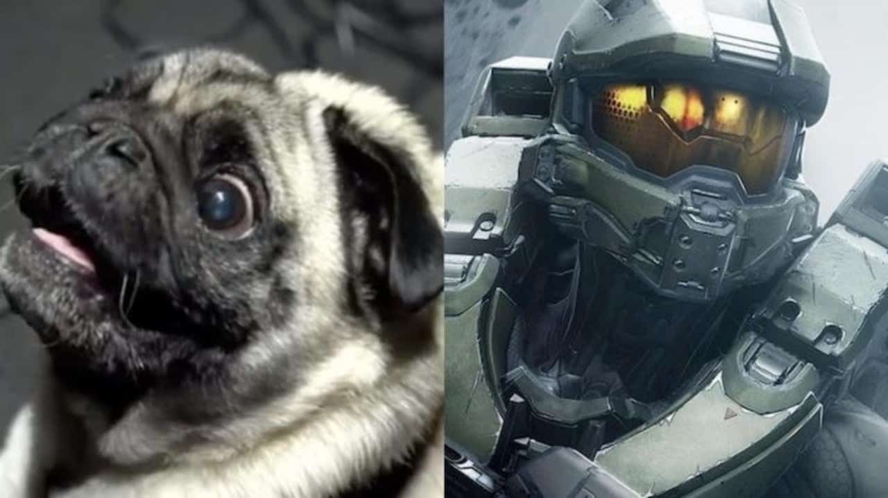 Why the makers of Halo hired a pug for voice overs