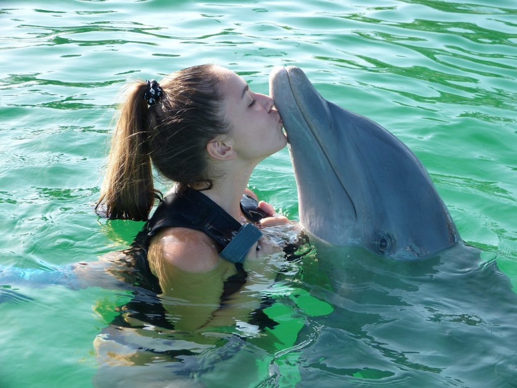 love dolphins