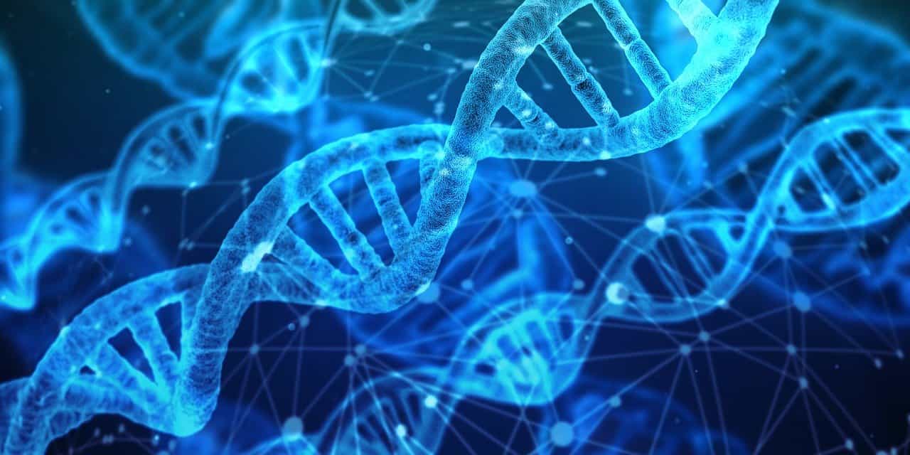 We can store data on DNA