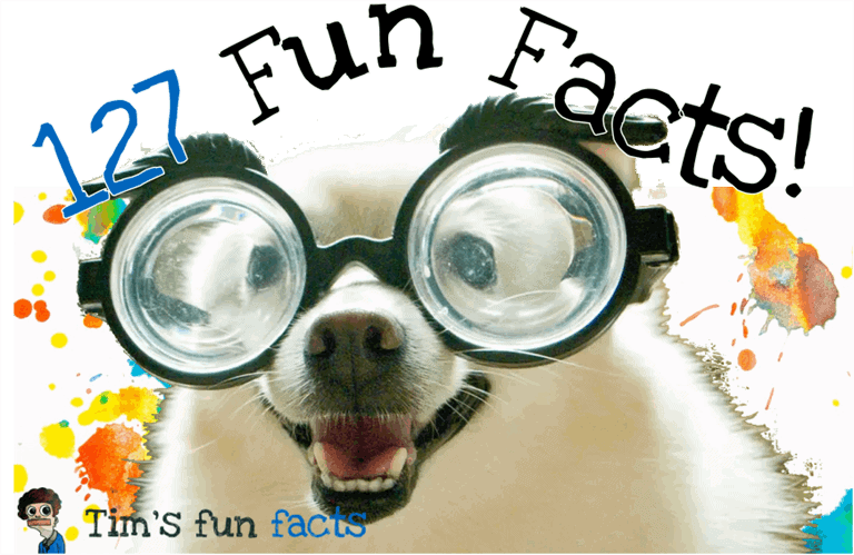 127 Random Fun Facts