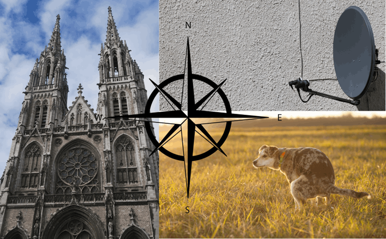 Orient yourself with churches, satellite dishes and dogs pooping